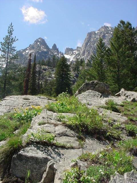 DSC00020.JPG